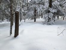 Trail to Indian Head / Twin