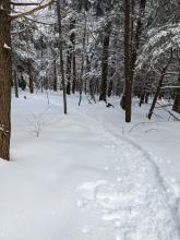 Trail to Indian Head / Twin