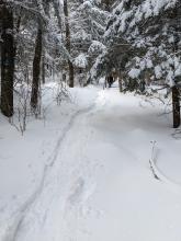 Trail to Indian Head / Twin