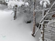 Trail to Indian Head / Twin