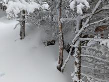 Trail to Indian Head / Twin