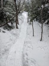 Trail to Tabletop