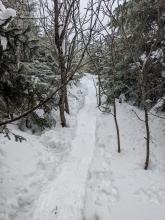 Trail to Tabletop