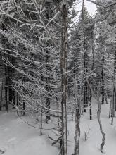 Trail to Tabletop