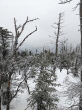 Trail to Tabletop