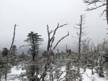 View from Tabletop