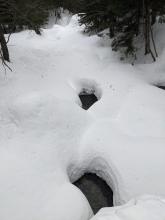 Trail to Tabletop