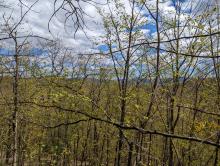 Trail to Cat and Thomas