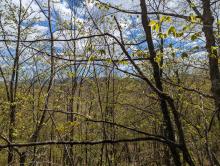 Trail to Cat and Thomas