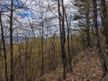 Trail to Cat and Thomas