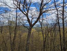 Trail to Cat and Thomas