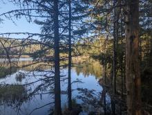 Lost Pond