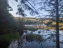 Lost Pond