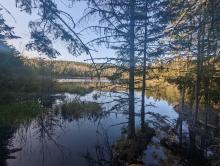 Lost Pond