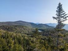 View from Weston