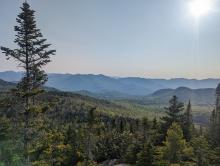 View from Weston