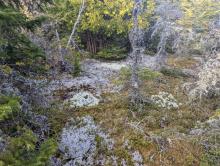 Trail along Nun-Da-Ga-O
