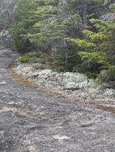 Trail along Nun-Da-Ga-O