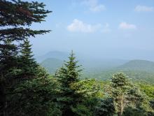 View from Table