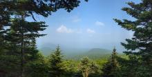 View from Table