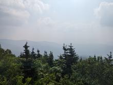 View from Peekamoose