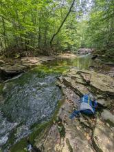 Neversink / Fishermans Path
