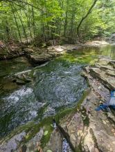 Neversink / Fishermans Path