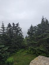 View from Slide