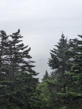 View from Slide
