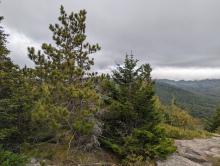 View from Big Crow