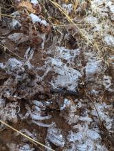 Trail to Black Mountain