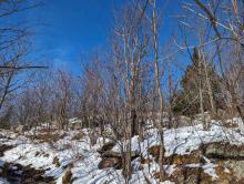 Hadley Mountain