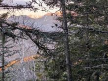 Trail to Giant