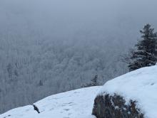 Trail over the Brothers