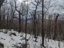 Trail to Windham High Peak