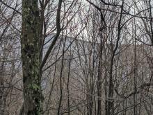 View from Windham High Peak