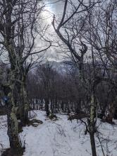 Trail to Windham High Peak