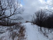 Trail to Windham High Peak