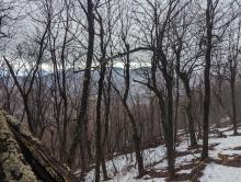 Trail to Windham High Peak