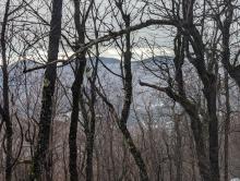 Trail to Windham High Peak