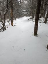 Trail to Thomas Cole