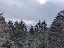 View from Thomas Cole
