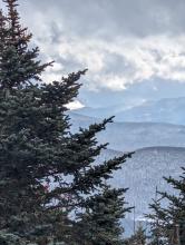 View from Thomas Cole