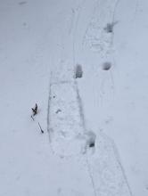 Trail to Black Dome