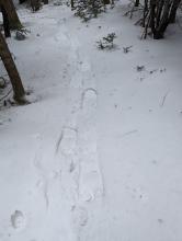 Trail to Black Dome