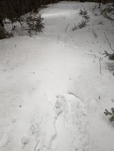 Trail to Black Dome