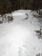Trail to Black Dome