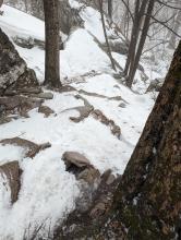 Trail to Thomas Cole