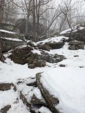 Trail to Thomas Cole