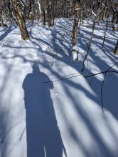 Trail to Sherill